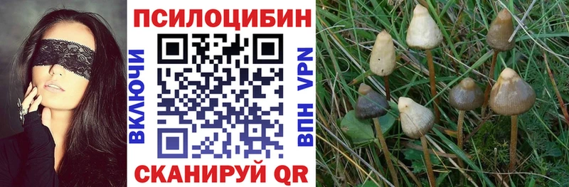 Псилоцибиновые грибы прущие грибы  купить наркоту  Палласовка 